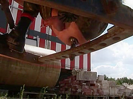 German Barebacking Pigs