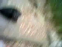 Gipsy