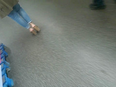 Gorgeous Arabian Feet In High Heels Mules