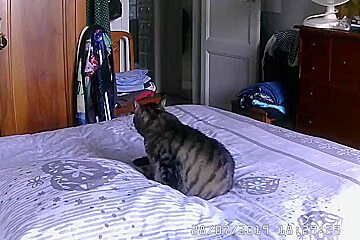 Grandpa Fucks Step mom After Work