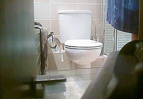 Great hidden home WC cam 2