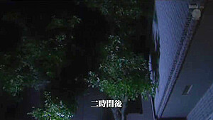 HZN103-SYLUQAUOIY971534425