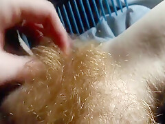 Hairy Redhead