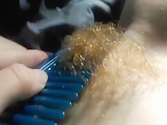 Hairy Redhead