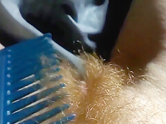 Hairy Redhead
