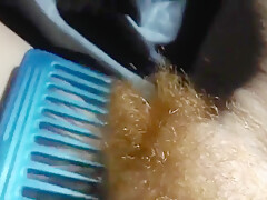 Hairy Redhead