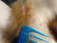 Hairy Redhead