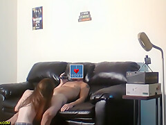 Hardcore Big Cock Blowjob Vids