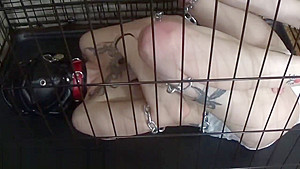 Headwrap 9 - Diaper slave crawls around and plays in its cage