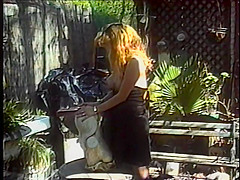 Hollywood Amateurs *** (1995)