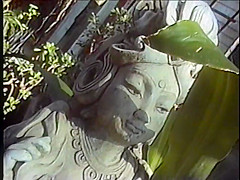 Hollywood Amateurs *** (1995)