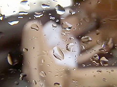 Horny sex video Pussy Licking fantastic only for you
