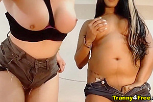 Hot And Wild Shemales Teasing And Sucking Cock