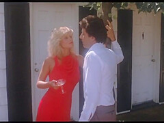 Hot Vintage Porn Movie Firestorm From 1984