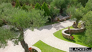 Hottest Adult Clip Outdoor Incredible Pretty One - Jack Rippher, Black Prince And Hollywood Cash