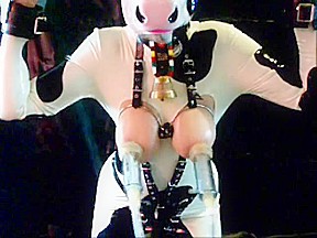 Hucow breast milking