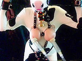 Hucow breast milking