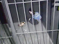 Japanese Bondage 6