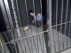 Japanese Bondage 6