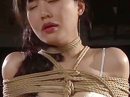 Japanese Bondage Pt374