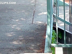 Japanese amateur pissing