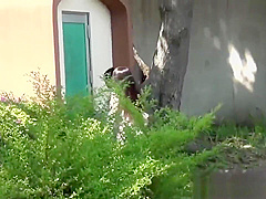 Japanese amateur pissing