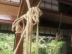 Japanese torture with hottie outdoors action