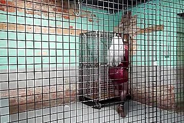 Jjs Intake At New Jail With Dominica