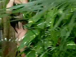 Jungle Girl - Christymarks