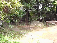 Juq-445 Double Plump Squeezing I Came Back To My Par