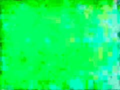 Killer tits ( 1 of 2)