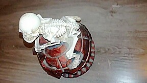 Lady L crush skull