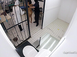 Lesbian punishment Clinics of America - Stefania Mafra - Part 5 of 6 - CaptiveClinic
