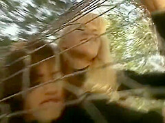 Lesbians Fuck On A Net