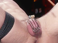 Male in chastity caned by alt mistress