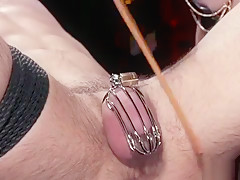 Male in chastity caned by alt mistress
