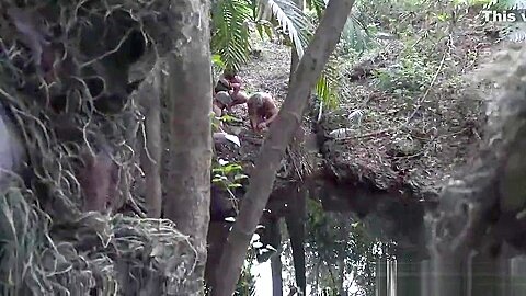 Military muscle hunk bare fucked and jizzed