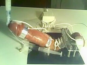 Milked by a machine in bondage