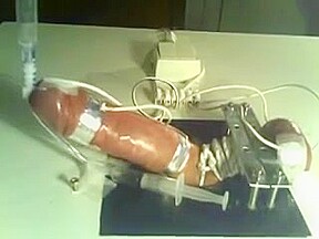 Milked by a machine in bondage
