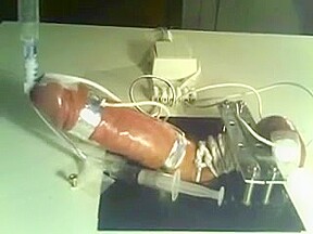 Milked by a machine in bondage