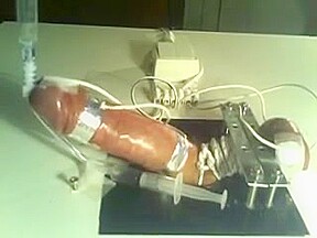Milked by a machine in bondage