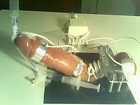 Milked by a machine in bondage