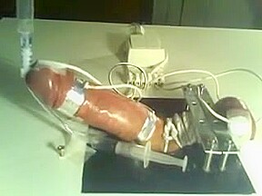 Milked by a machine in bondage
