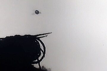 Nasty Freaky Black Dick Sucking