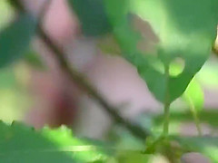 Naturist couple caught fucking in grass