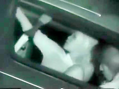 NightVision Stalker 03
