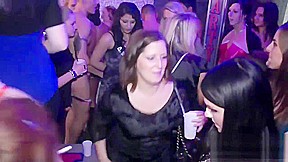 Nightclub orgy session featuring luscious starlets