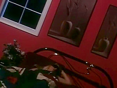 Nikki Sinn, Tom Byron And Jonathan Morgan In Rear And Pleasant Danger (1995) Full Movie