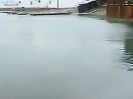 No minivans were hurt in the making of this vid