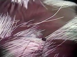 Obsession Has Her Pussy Stretched Wide By A Big Black Dick